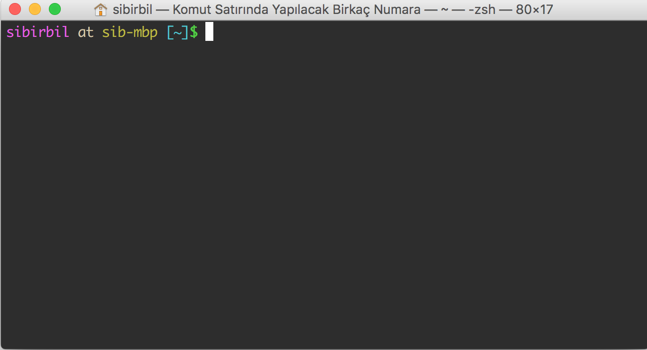 terminal.png